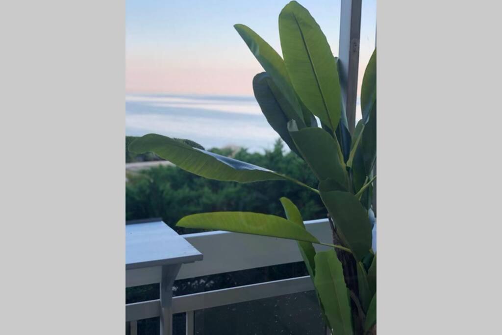 Charmant studio avec terrasse vue mer à 50 m Sainte-Maxime Extérieur photo
